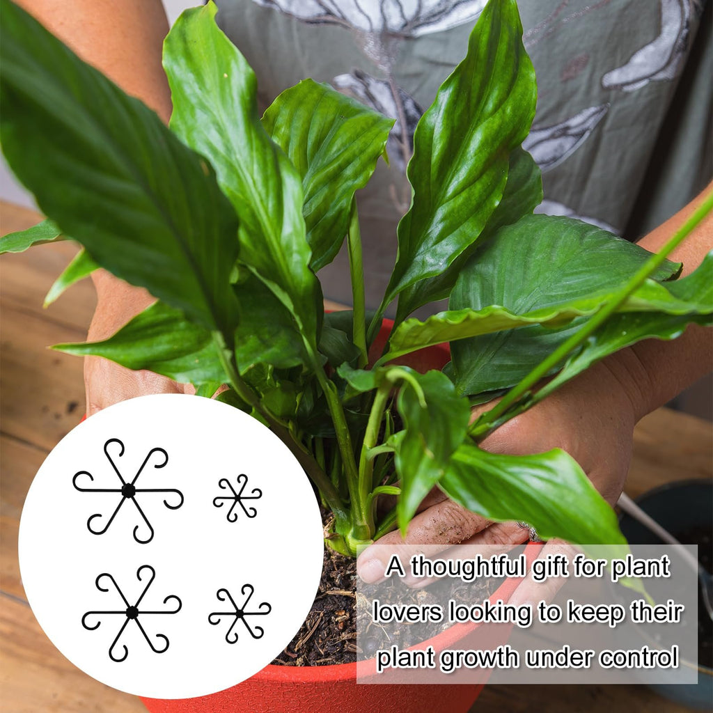 Climbing Houseplant Stem Supports - Perfect Growth Solution for Your Plants