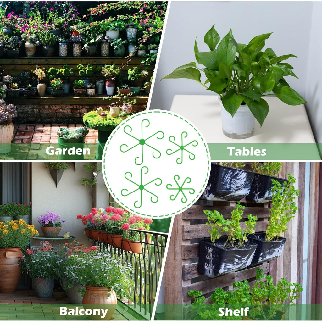 Climbing Houseplant Stem Supports - Perfect Growth Solution for Your Plants