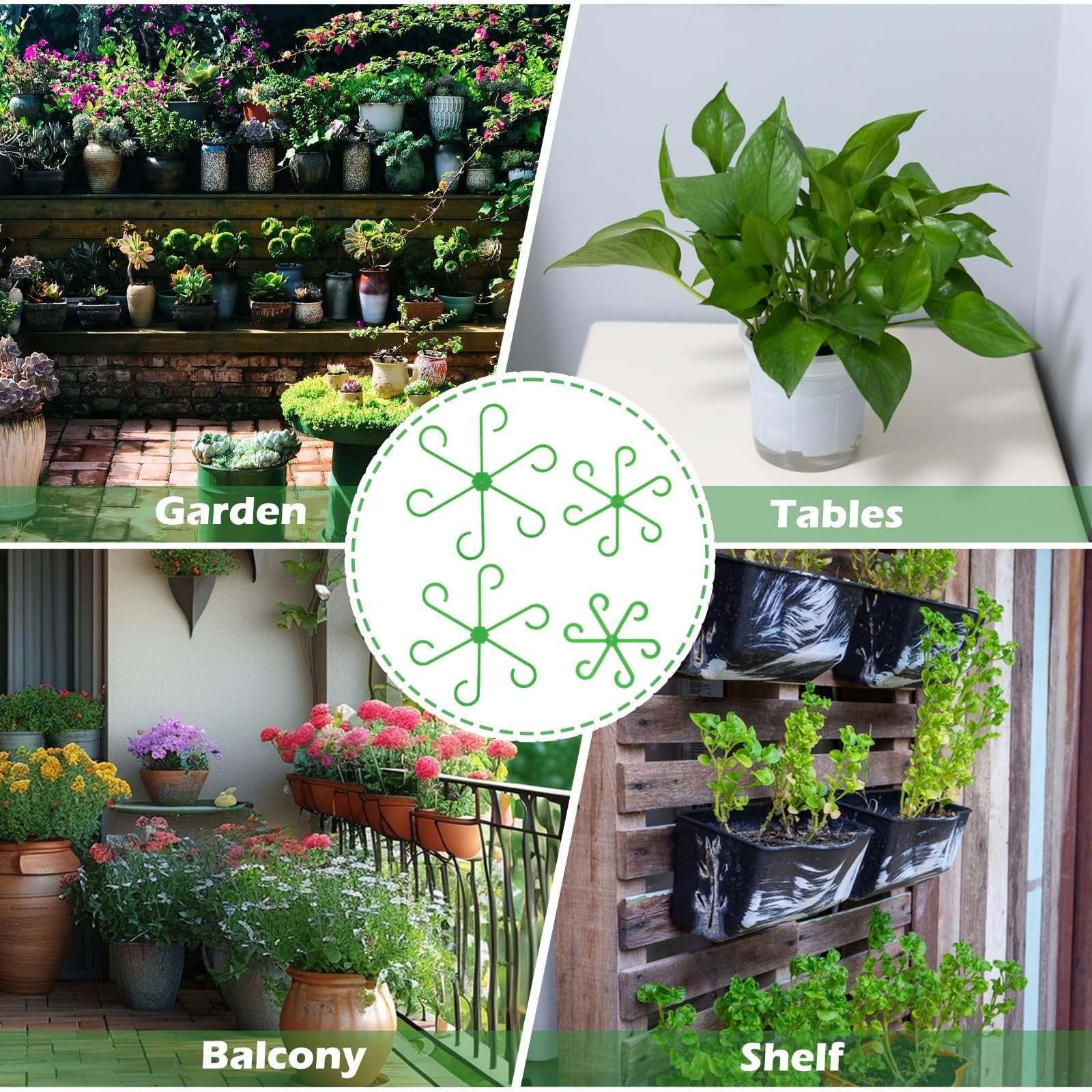 Climbing Houseplant Stem Supports - Perfect Growth Solution for Your Plants