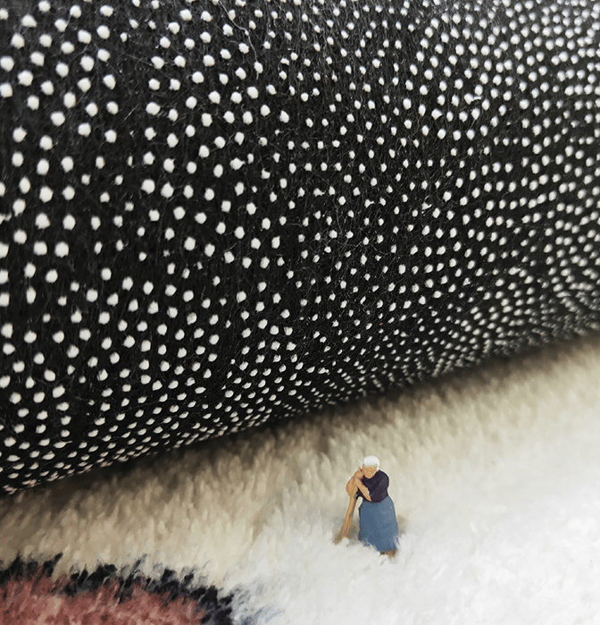 🐊 Faux Cashmere Indoor & Outdoor Rug