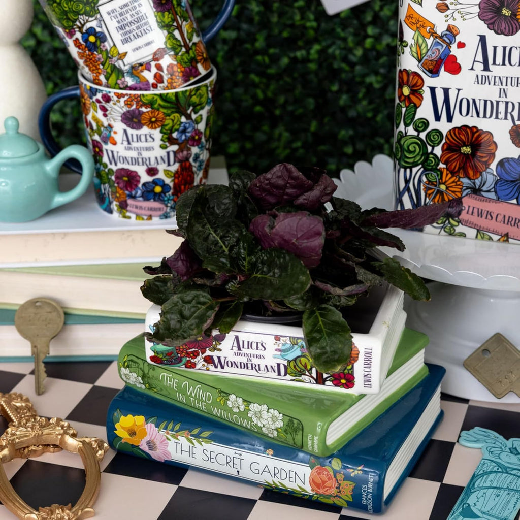 Book-Shaped Ceramic Decorative Flower Pot📚🌿