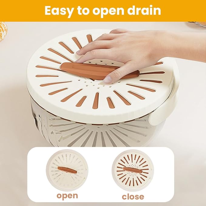2024 New 2-in-1 Drainer and Strainer | Multi-Function Basket with Lid & Collapsible Handle