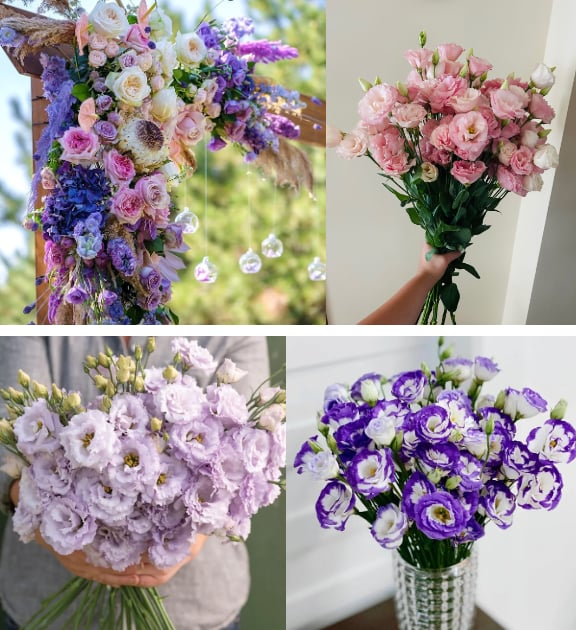 💐 Lisianthus - A Sincere and Immutable Love 🌸