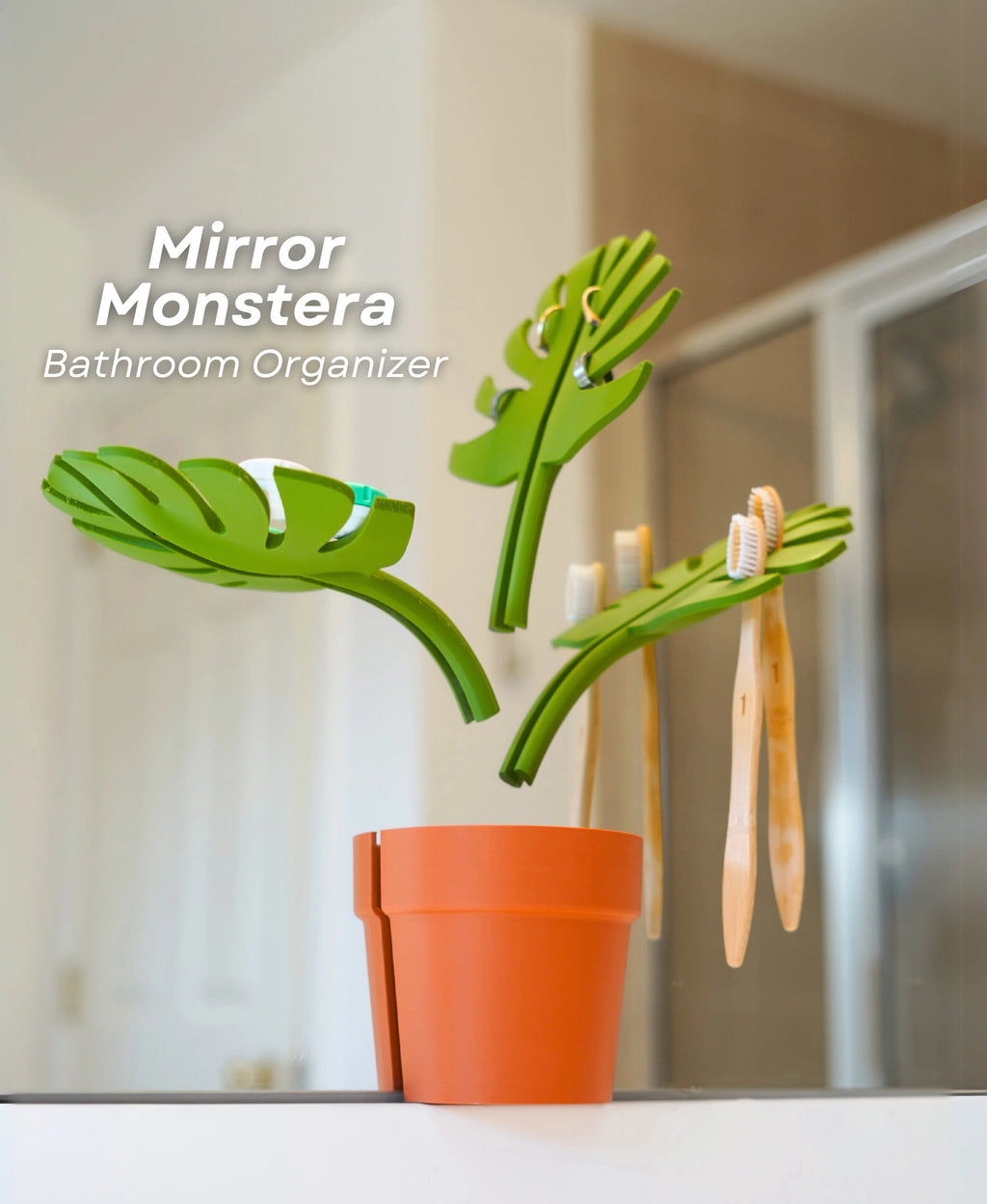Mirror Monstera