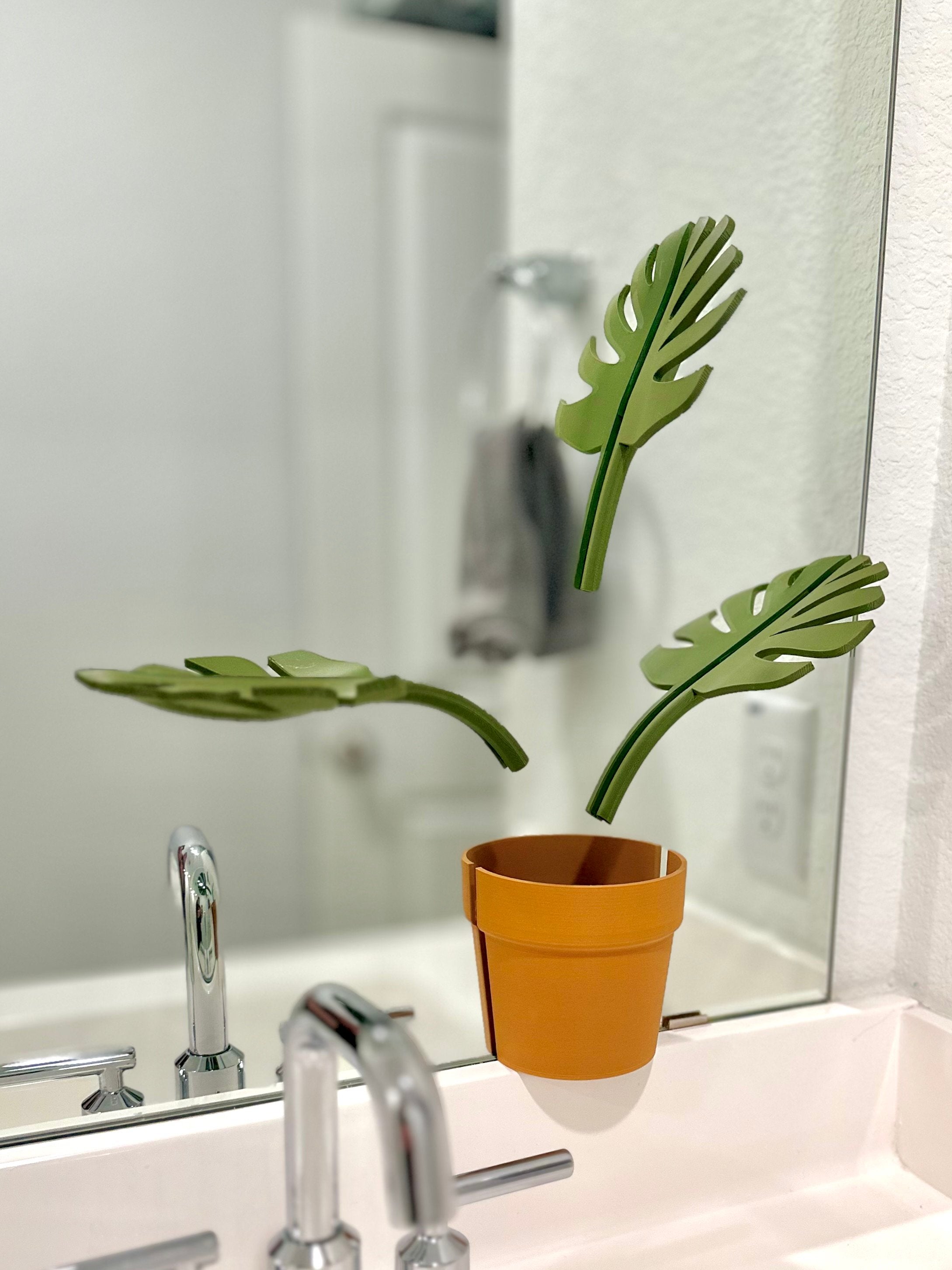 Mirror Monstera